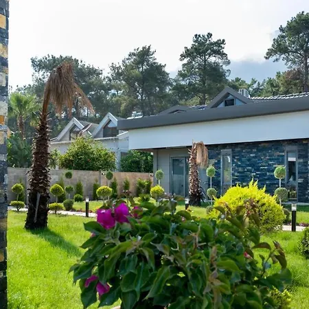 Green Park Daisy * Kemer